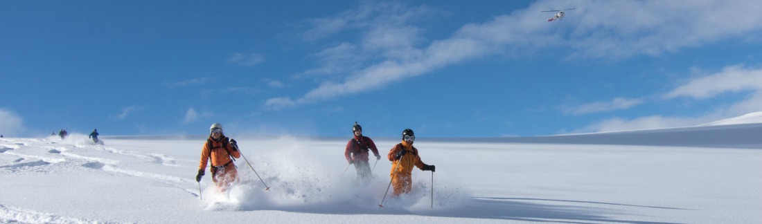 Looking for fast paced heli skiing? Try CMH Gothics in Canada!