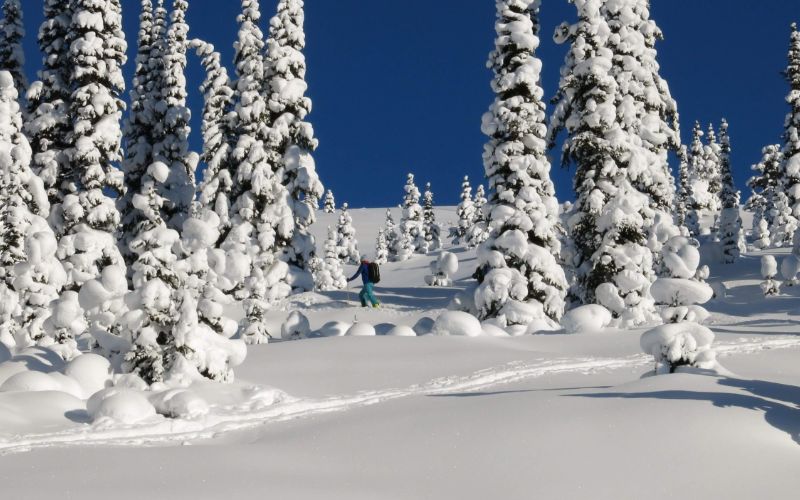 Heli-Skiing -Canada-alpine-skiing-min