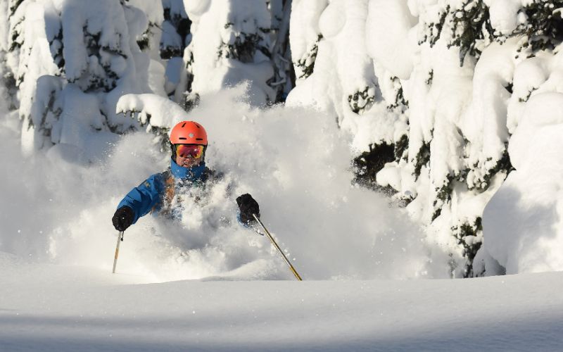 heli-skiing-canada-tree-skiing-min