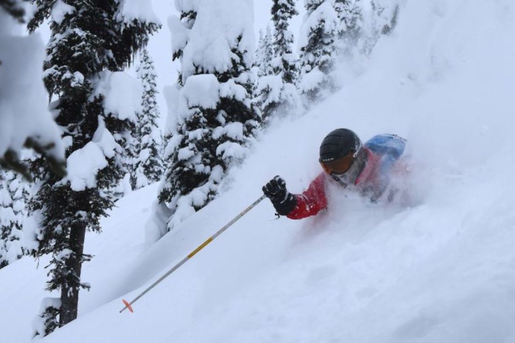 heli-skiing-canada-skier-in-deep-powder-min