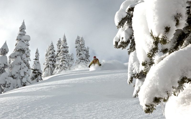 heli-skiing-deep-powder-min